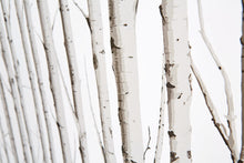 Load image into Gallery viewer, Roller Shades Black out