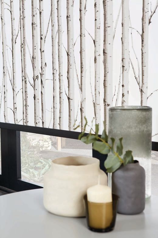 Load image into Gallery viewer, Roller Shades Black out