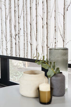 Load image into Gallery viewer, Roller Shades Black out