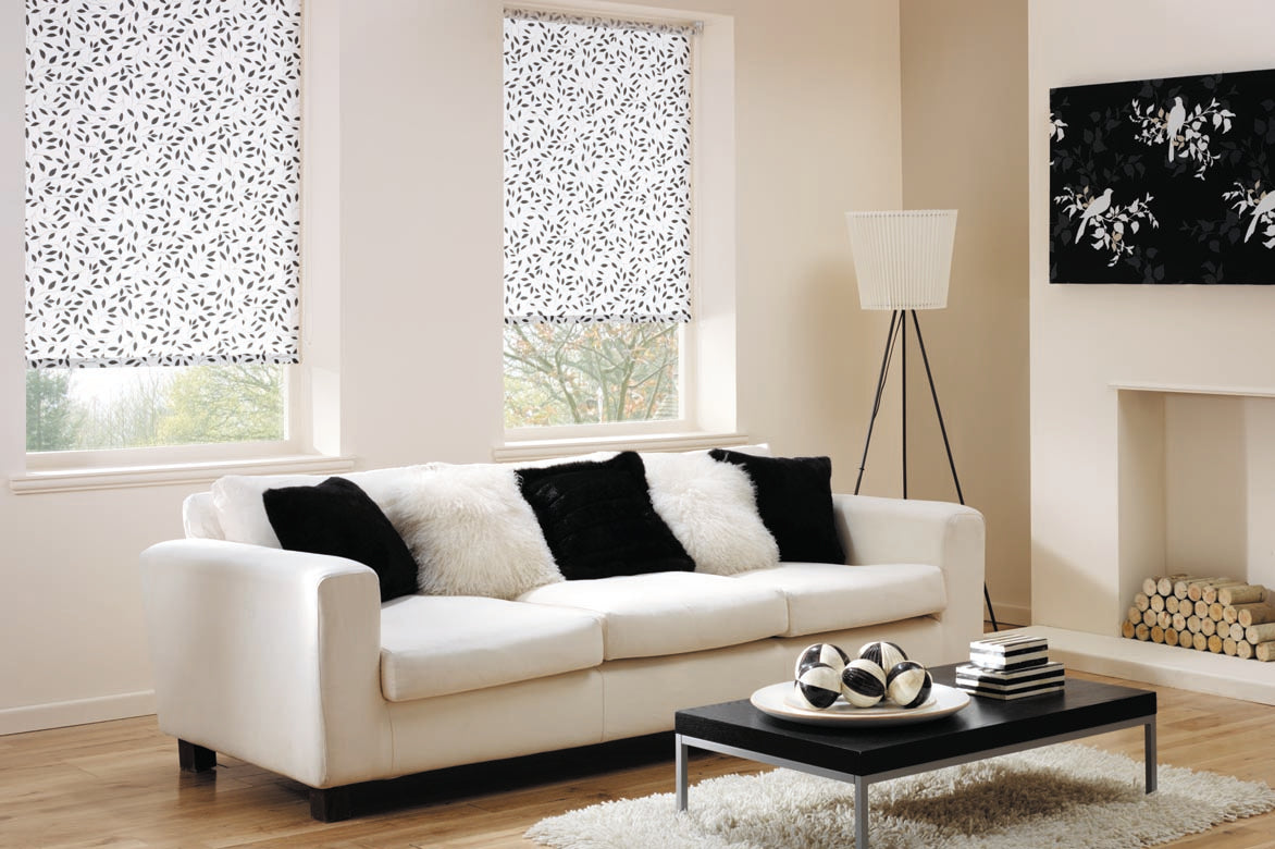 Load image into Gallery viewer, Roller Shades Black out