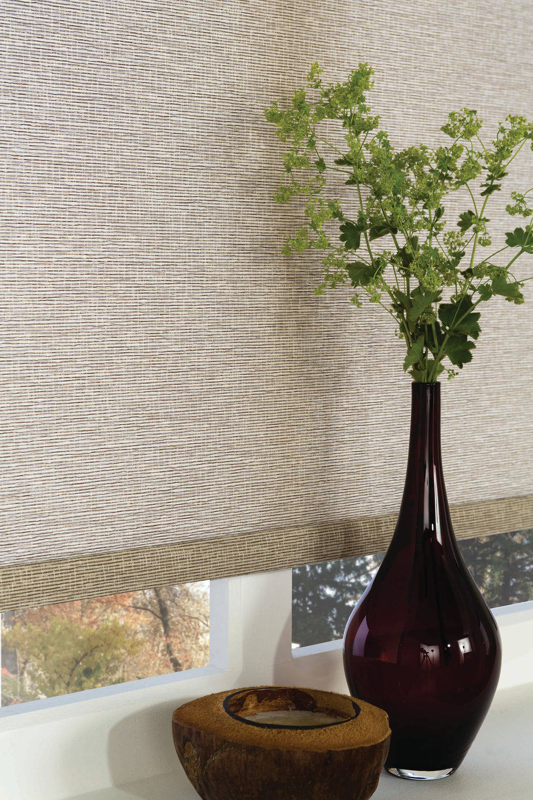 Roller Shades- 48x36 Inch