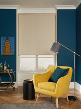 Load image into Gallery viewer, Roller Shades Test Product
