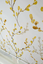 Load image into Gallery viewer, Roller Shades- 32x36 Inch
