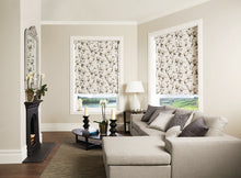 Load image into Gallery viewer, Roller Shades Light Filtering
