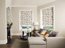 Load image into Gallery viewer, Roller Shades- 24x36 Inch
