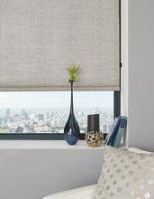 Load image into Gallery viewer, Roller shades black out
